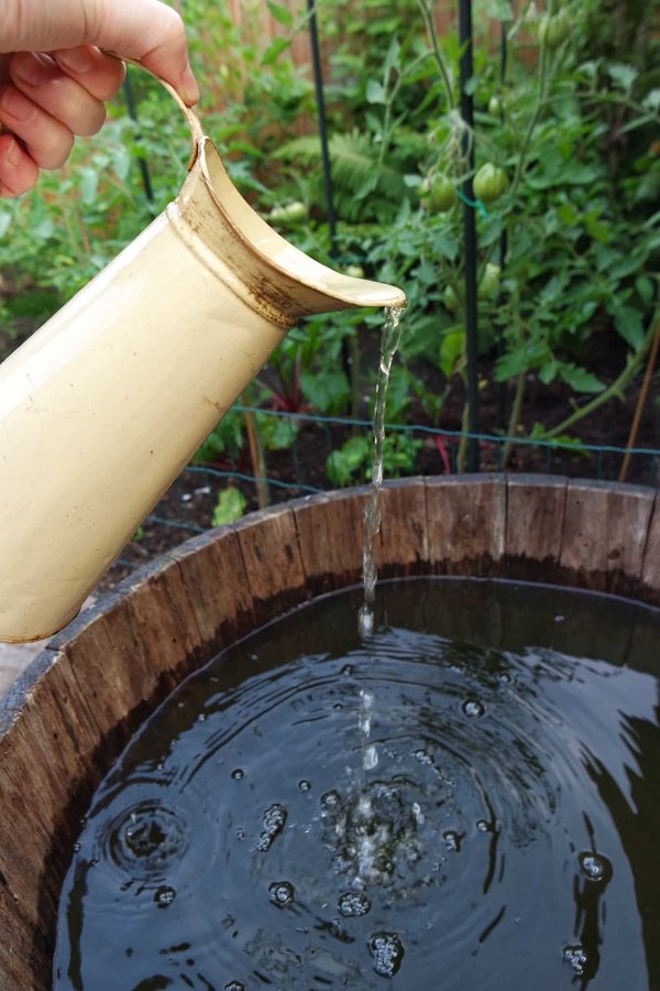 How to set up a rainwater harvesting system in a suburban home in Surrey?