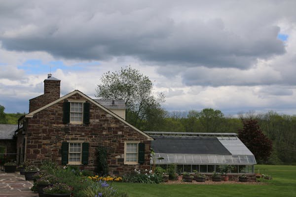 Farmingdale observer: top tips for home and garden care